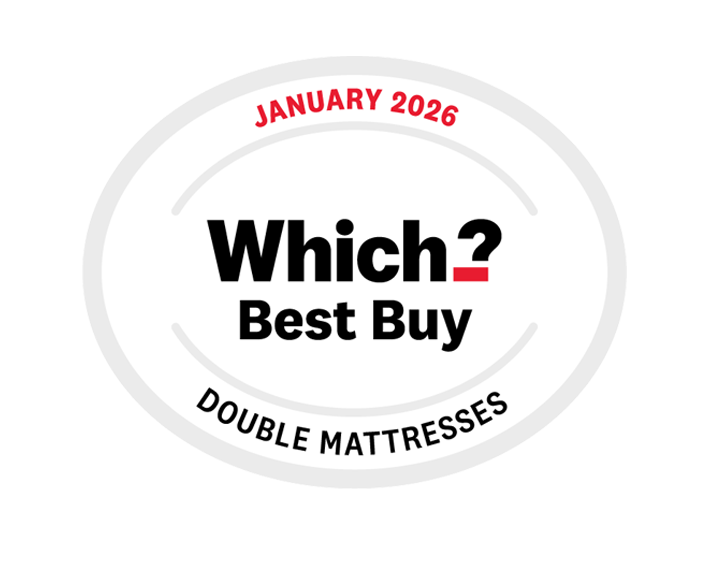 Which Best Buy logo