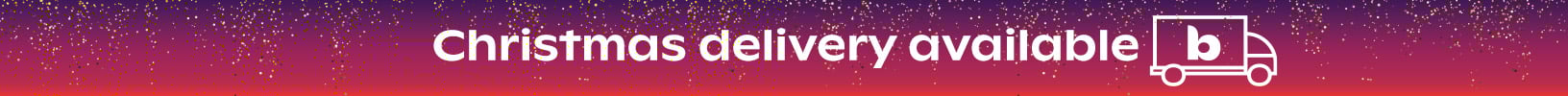 xmas delivery
