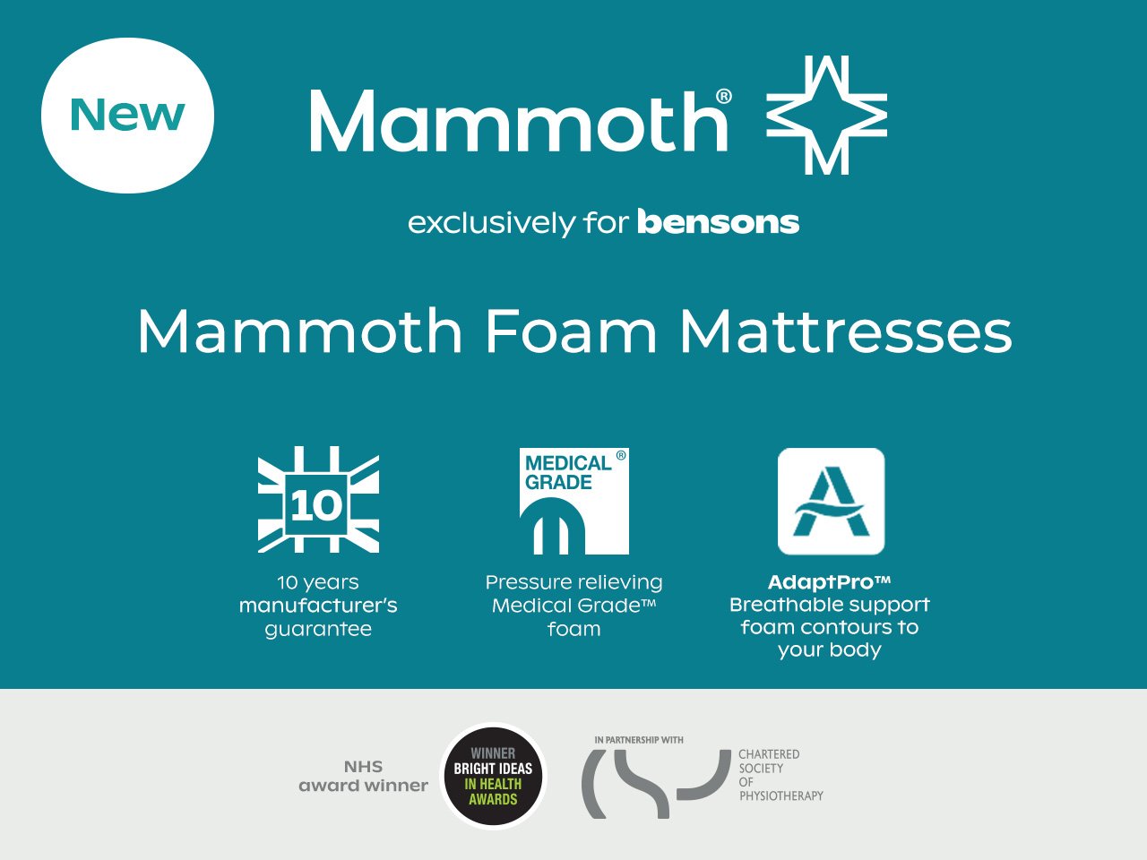 New Mammoth Foam Mattresses