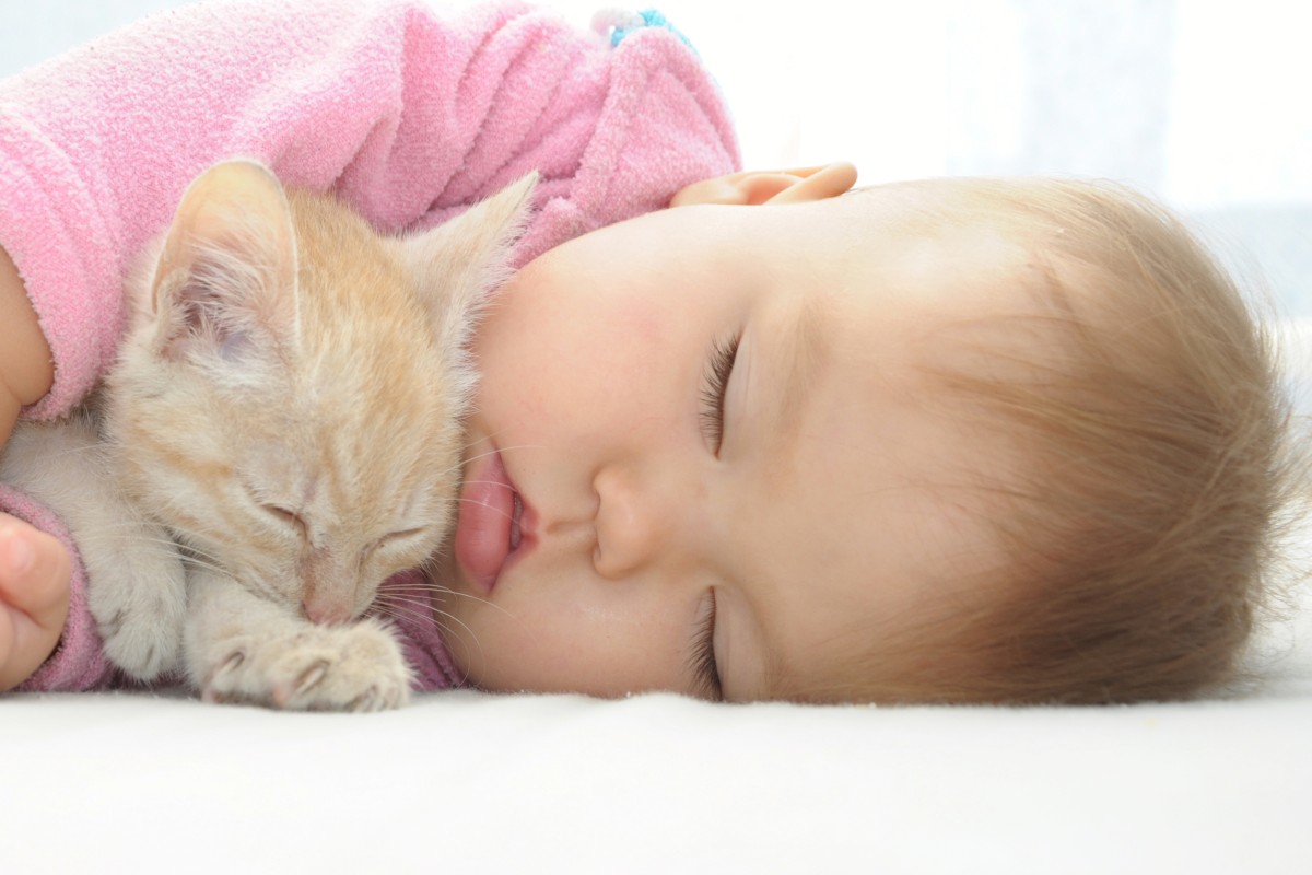 A sleeping baby cuddled up next to a sleeping kitten.