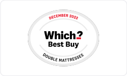 which best buy