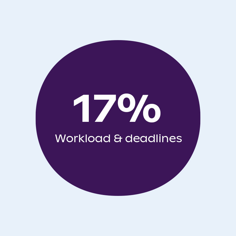 17% - Workload & deadlines