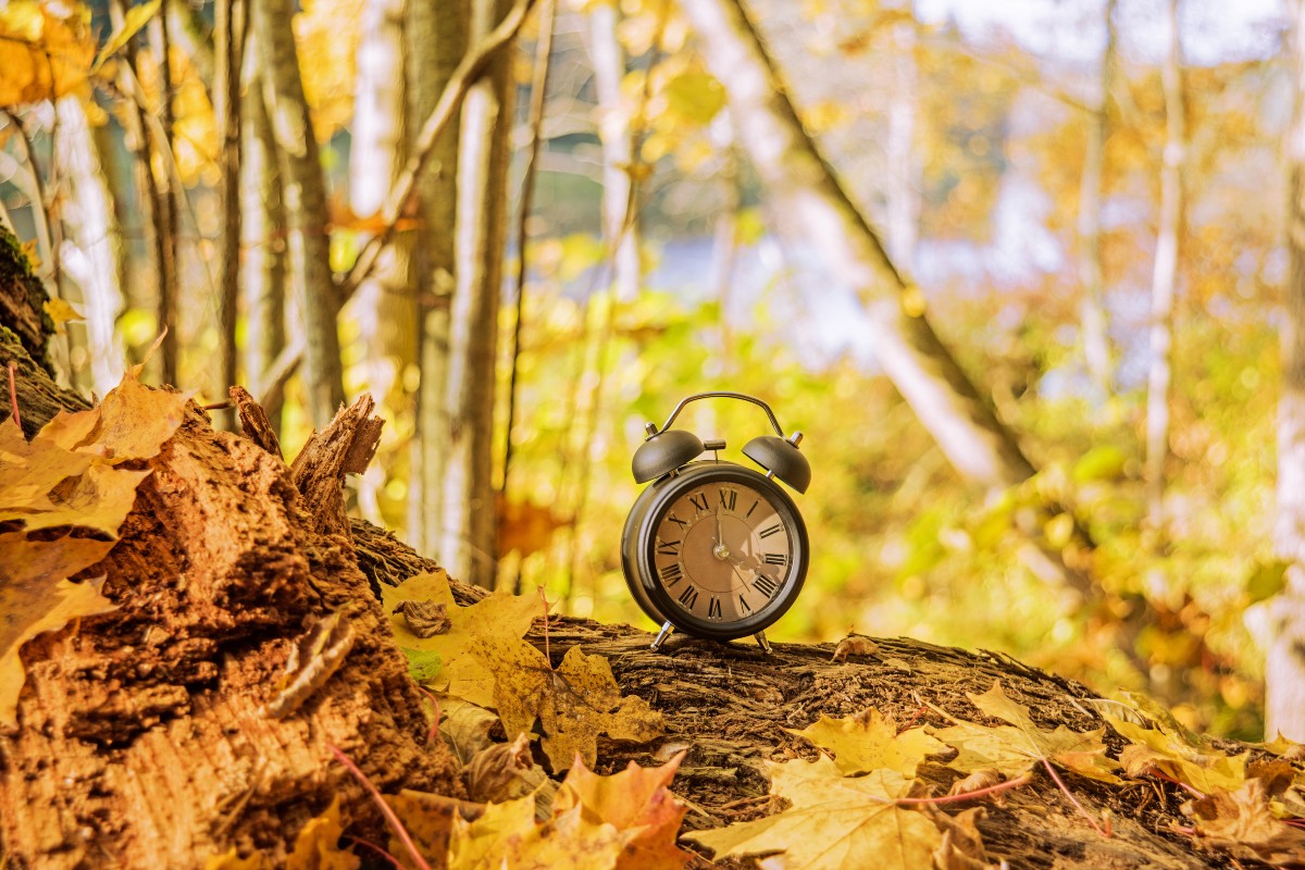 How to Adjust to the Clocks Going Back: Sleep Expert Advice