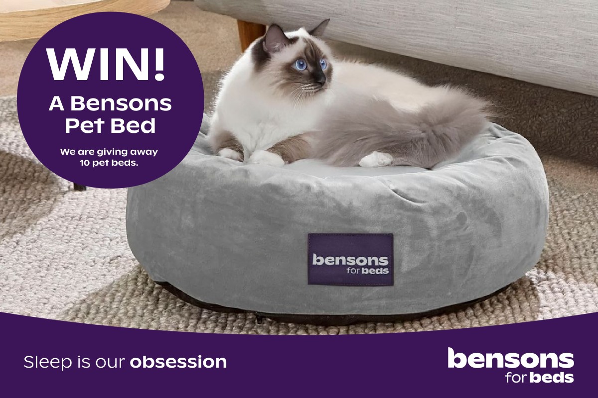 Bensons for Beds x  Pet Bed Competition T&Cs