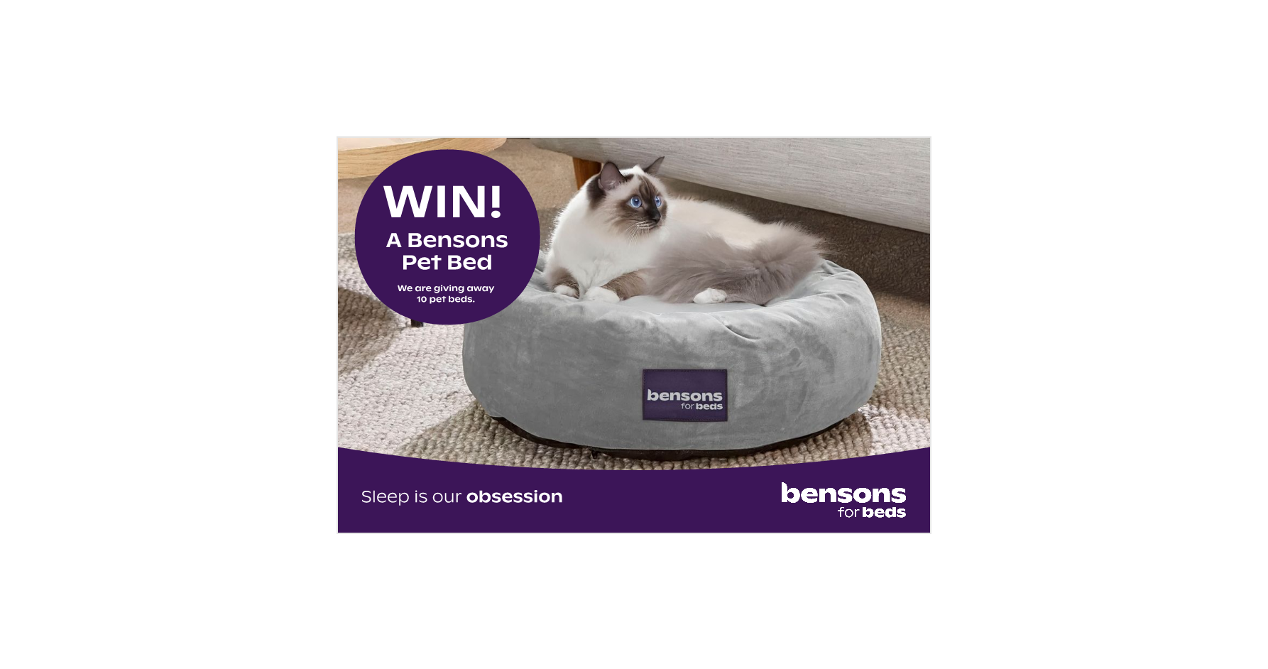 Bensons for Beds x  Pet Bed Competition T&Cs