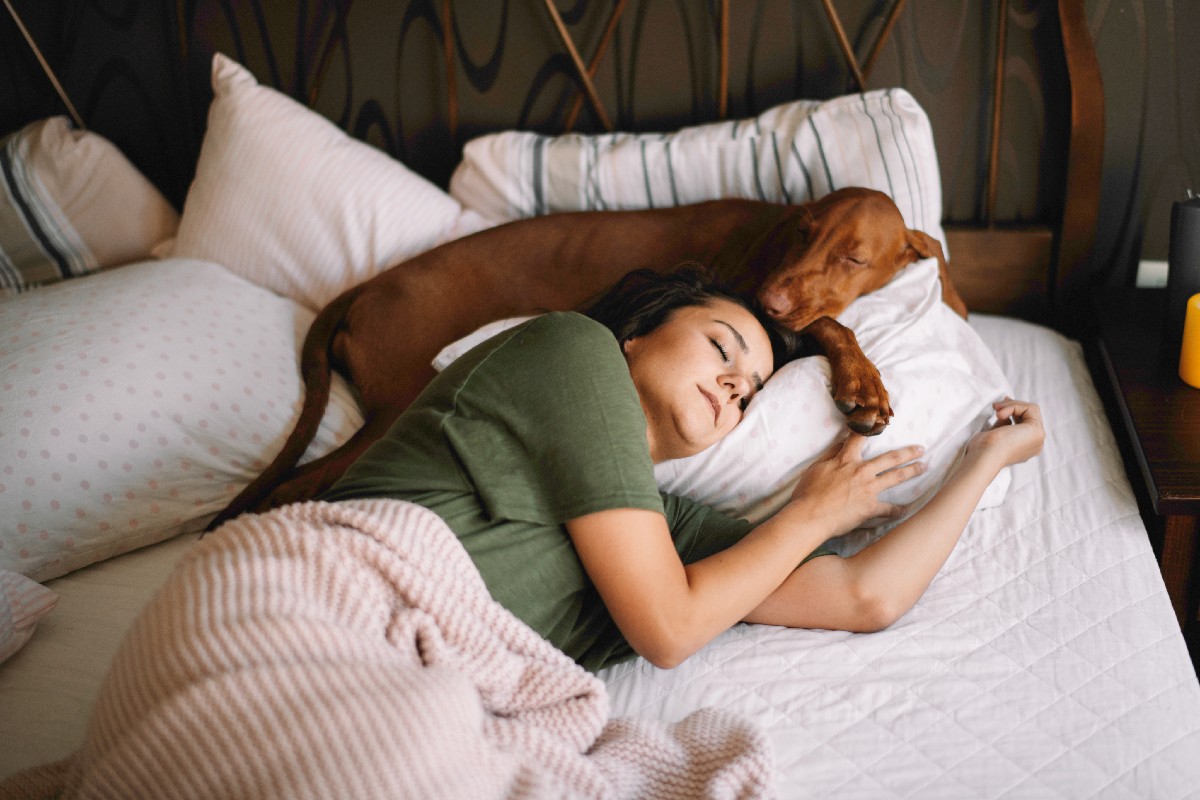 A lady asleep on her side in bed while her dog sleeps above her on her pillow dutifully protecting her.