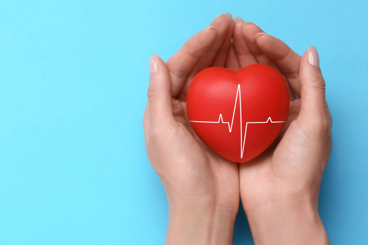A pair of hands holding a foam red heart featuring a heart rate line set against a plain blue background