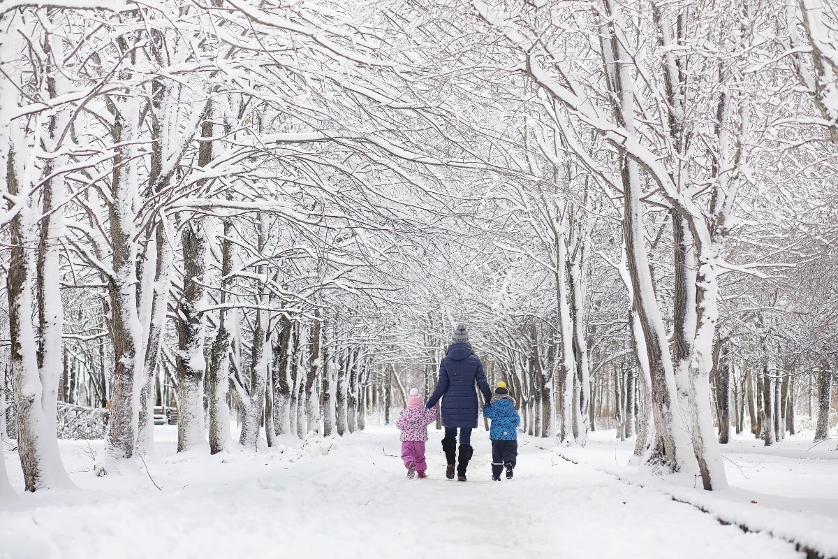 A father and his two children walking through a wintery woodland scene holding hands.